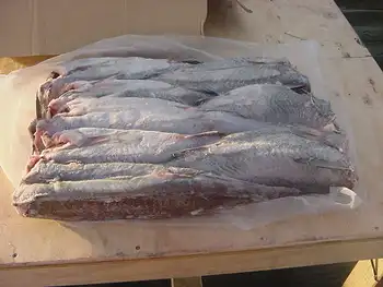 Hoki Fish - Buy Hoki Fish Product on Alibaba.com