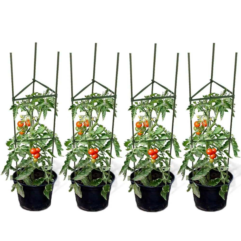 Get Quotations C2 B7 Gtidea Set Of 4 Tomato Cages Coated Galvanized Steel Heavy Study 4 Feet Garden Herb Plants Get Quotations C2 B7 Gtidea Set Of 4 Tomato Cages Coated Galvanized Steel Heavy Study 4 Feet Garden Herb Plants