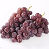 Grapes/red grapes/Best fresh red grapes