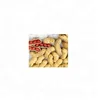 Raw groundnut Dry Roasted Peanut blanched peanut kernels