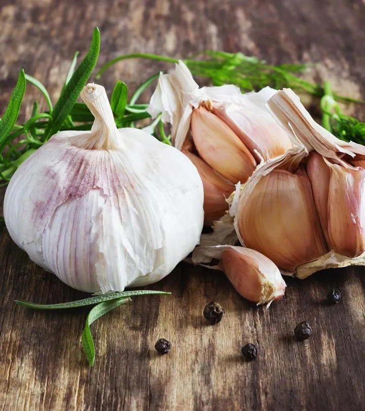 online wholesale thai fresh garlic normal white garlic 5