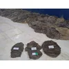 Nutritional Number One Quality Beef omasum /Buffalo omasum Now Availabuality Beefle from AA seafood