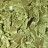 Cotton oil cake animal feed