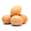 Wholesale Fresh Brown Table Eggs Chicken Eggs.