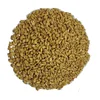Good Quality High Nutritious Value Water Soluble Barley Malt at Reliable Export Price