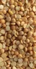 Yellow Split Peas