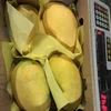 fresh mango pakistani sindhri