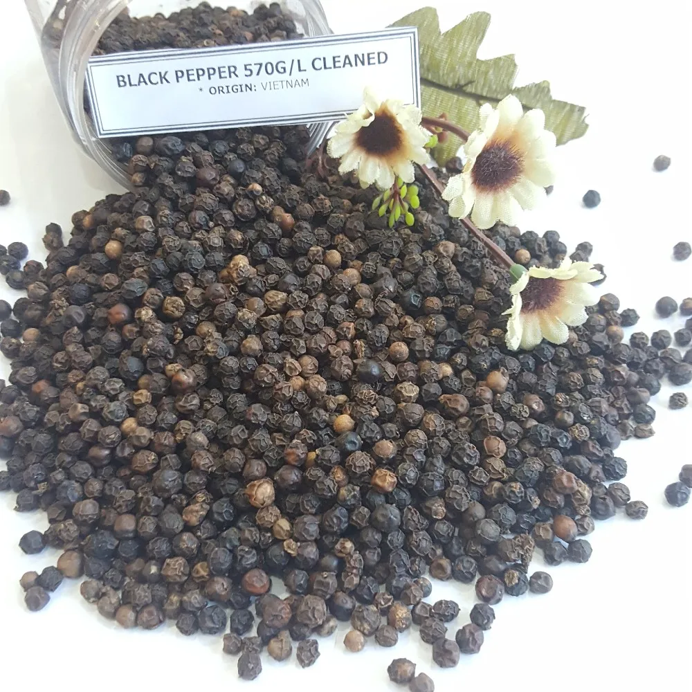 BLACK PEPPER 570GR CLEANED