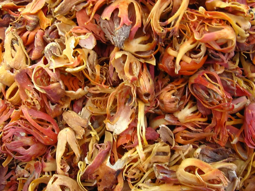nutmeg organic spice nutmeg mace