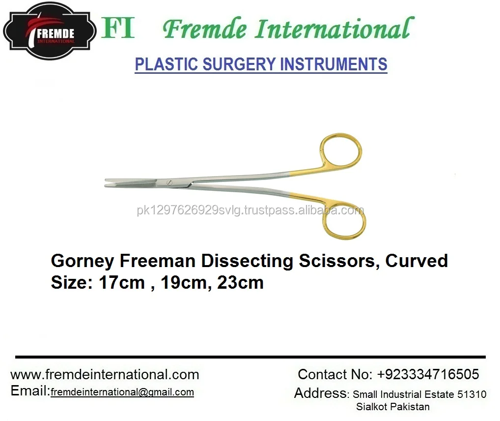 Gorney Freeman 17cm.jpg