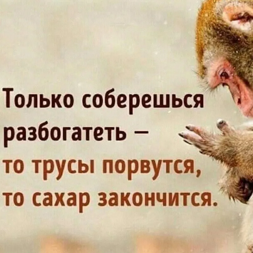 Только соберешься разбогатеть то. Только соберешься разбогатеть то