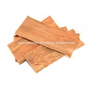 Cat's Claw Bark Includes Anti-tumor Effects