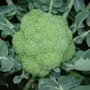 Fresh Broccoli