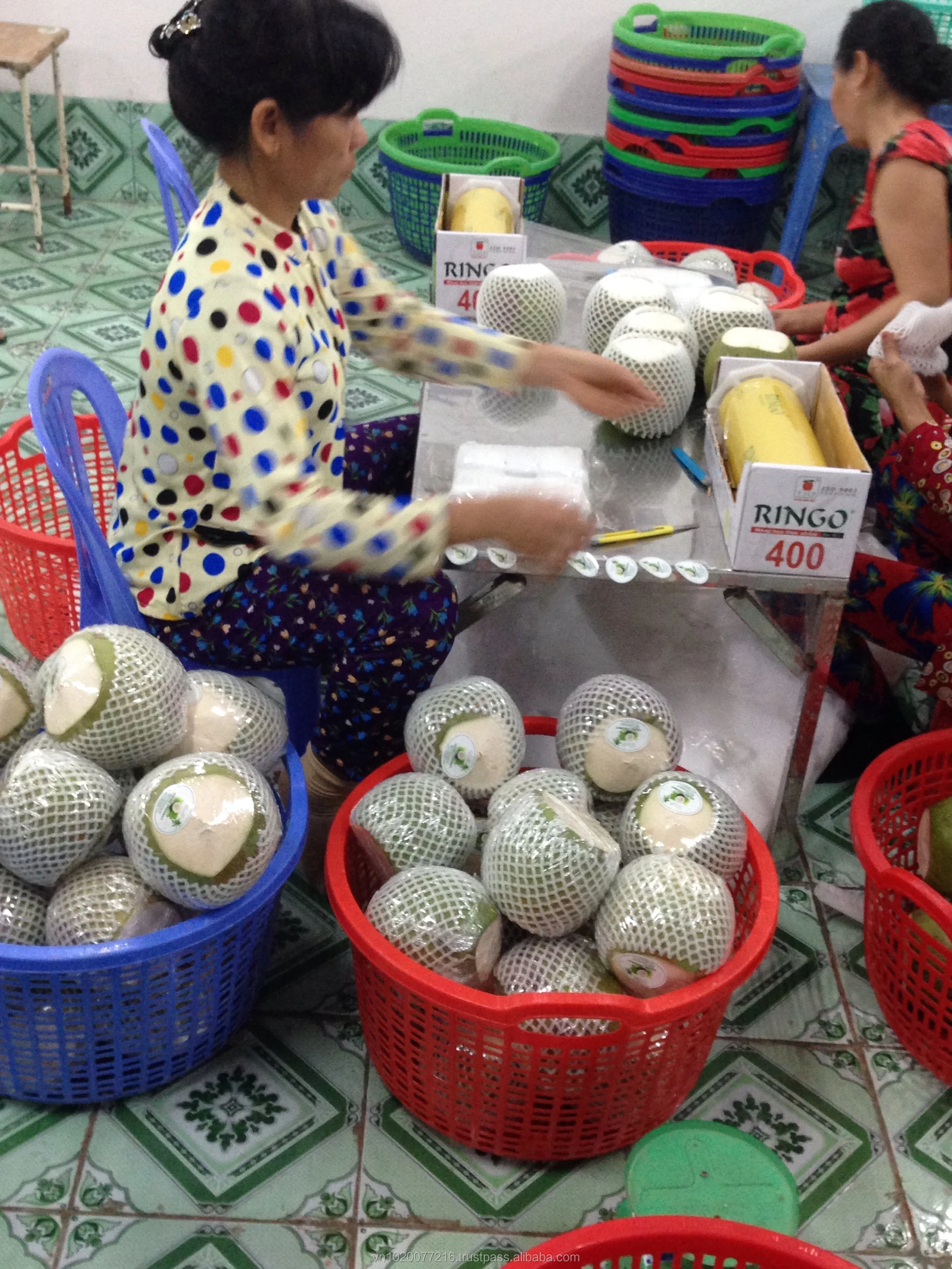 Fresh Coconut Buy Fresh Coconuts For Sale,Fresh Coconuts In Container