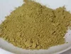 Grade A CASSIA MEAL POWDER,YELLOW MAIZE ,Alfalfa Hay,Corn Gluten