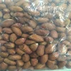 Apeda Approved Bulk Export of High Quality Big Size Peanuts 50/60 to China