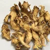 Dried Ginger From Vietnam With Export Standard