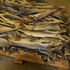 DRIED STOCK FISH FOR SALE. DRIED STOCK FISG COD /NORWAGIAN ORIGIN STOCK FISH