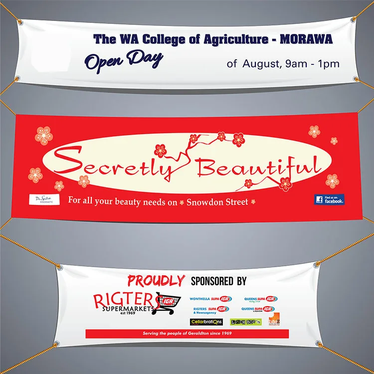 Chinese Factory Hot Sale Banner Kit With Grommets Banners On The