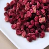 Pomegranate Extract Powder