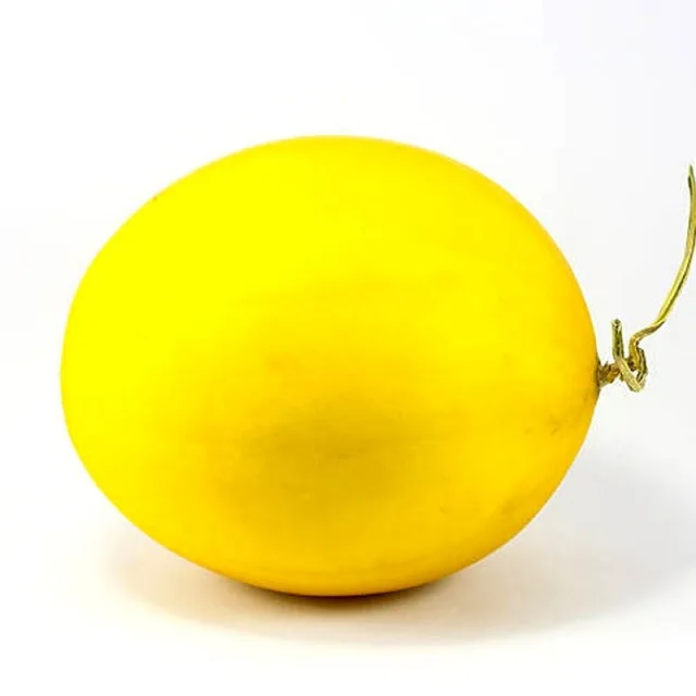 Vietnam Golden Honey Dew Melon Fresh Fruit Ms. Esther (whatsapp