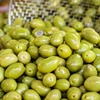 Best and Good Quality fresh Olives Available for Sale .Best Price..