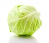 Wholesale Pure Fresh Round White Cabbage