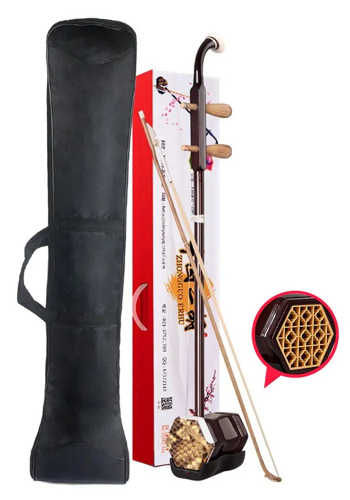 2 string chinese instrument