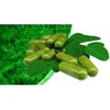 Natural Moringa Capsules for exports