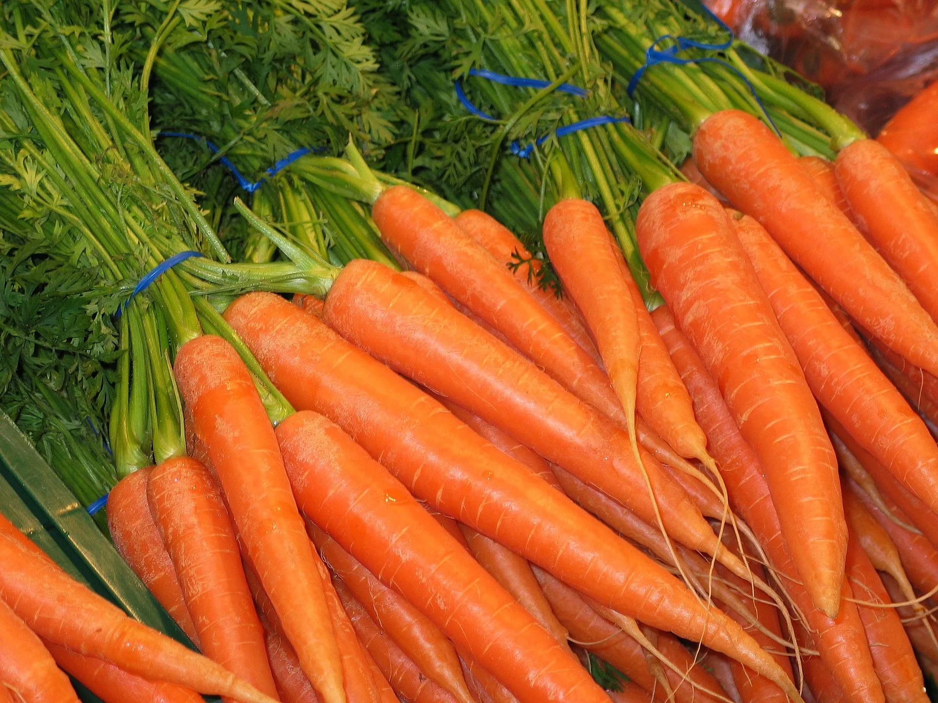 sweet fresh carrots for sale - buy bulk carrot,carrot harvester