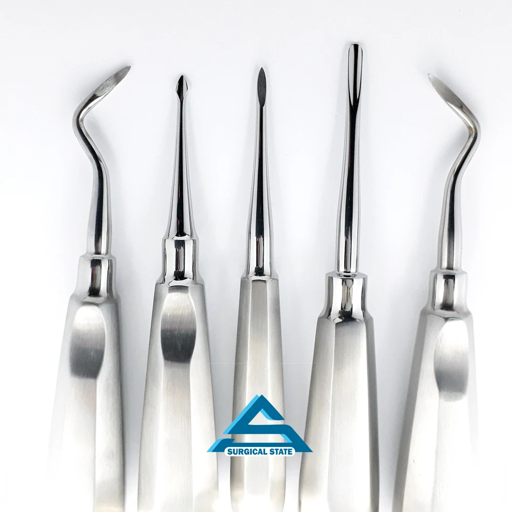 Seldin Root Elevator Angular Curved Premium Handle Dental Instrument