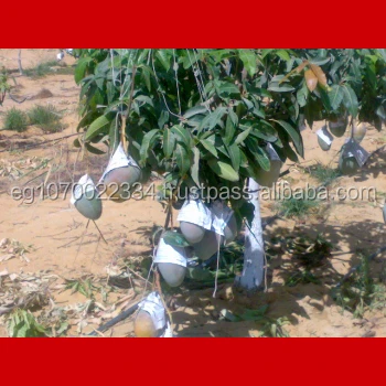 gallery_1238205659_tn