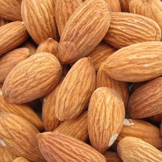 Organic Sweet Almond For Sale / Organic Sweet Almond In Uae Buy