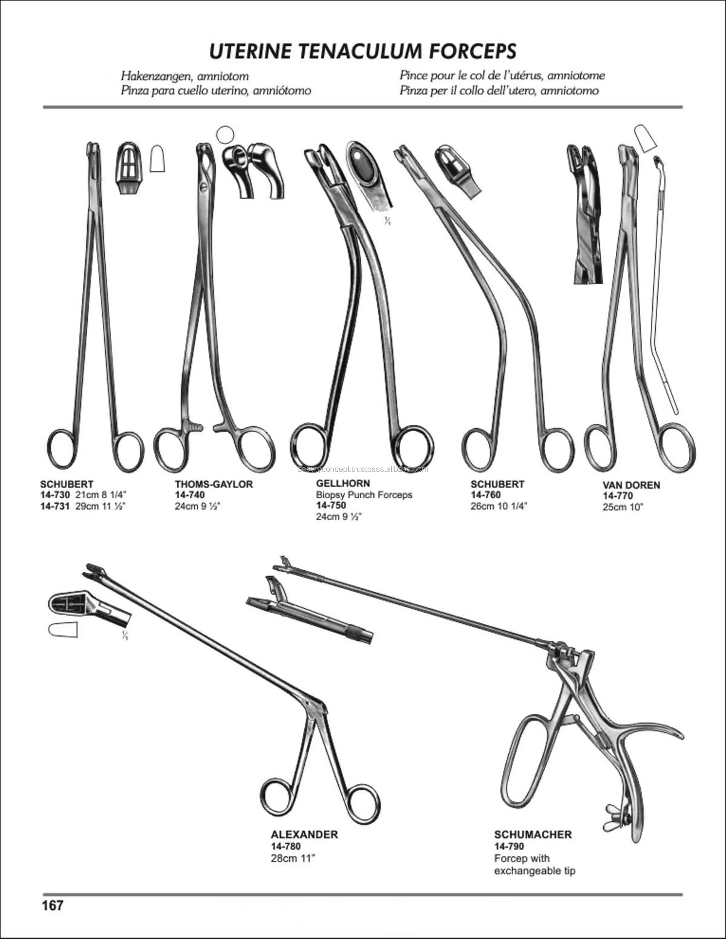 Anatomy Forceps - 14 cm