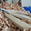 International Standard Cricket Bats , Bulk Professional Cricket Bats , Pakistan English Willow Quality Cricket Bats Exporter
