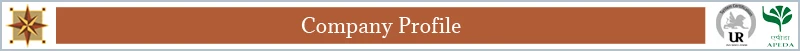 Company Profile.jpg