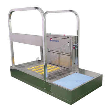 automatic shoe cleaner