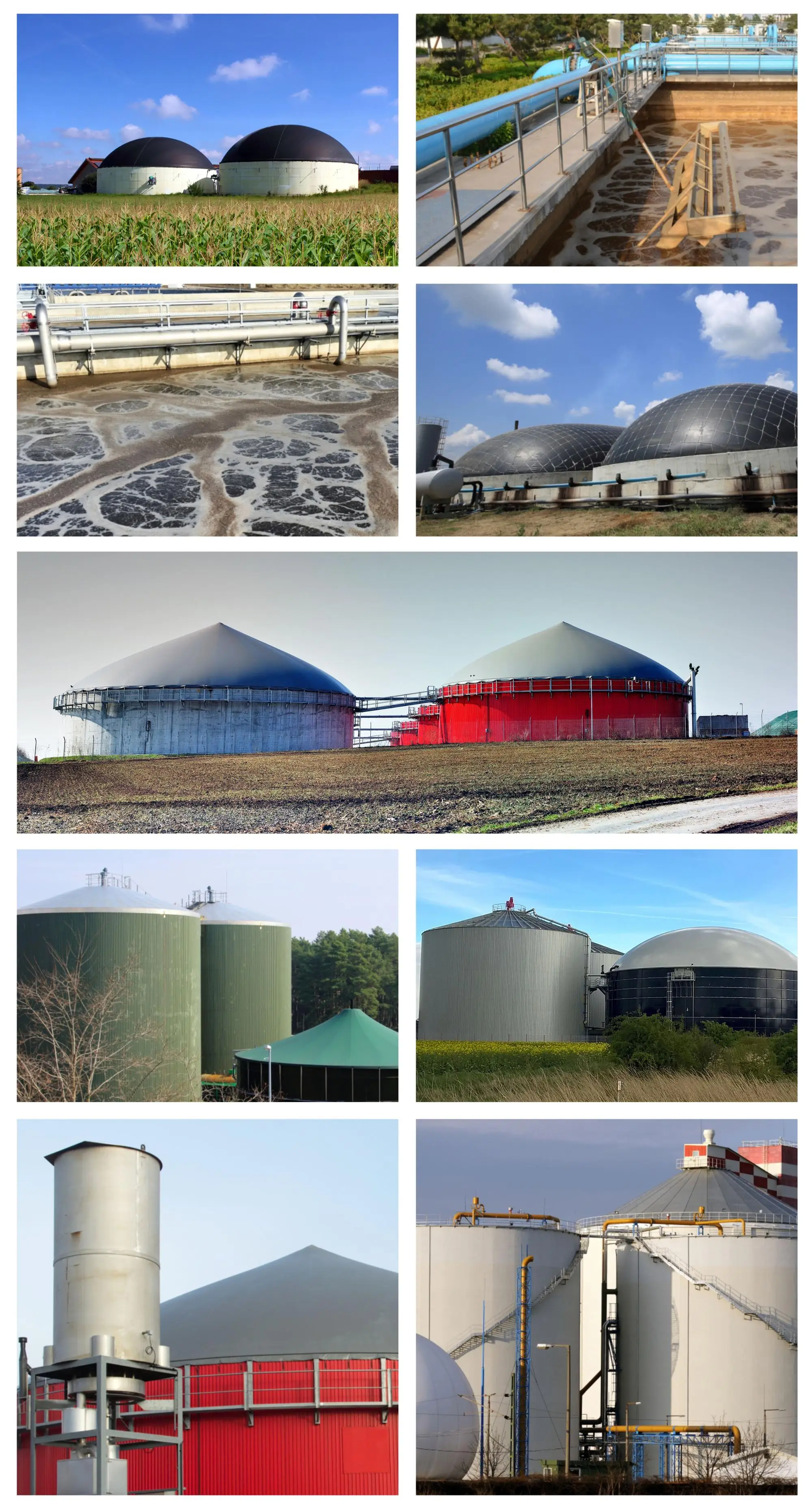 industrial anaerobic bacteria for wastewater treatment with high