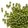 Dried Mung Bean/Moong Dal Seed/Sprouting Seeds Mung Bean