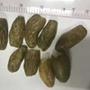 DRIED DATES FRUIT SNACKS : FD Dates : Pure dates