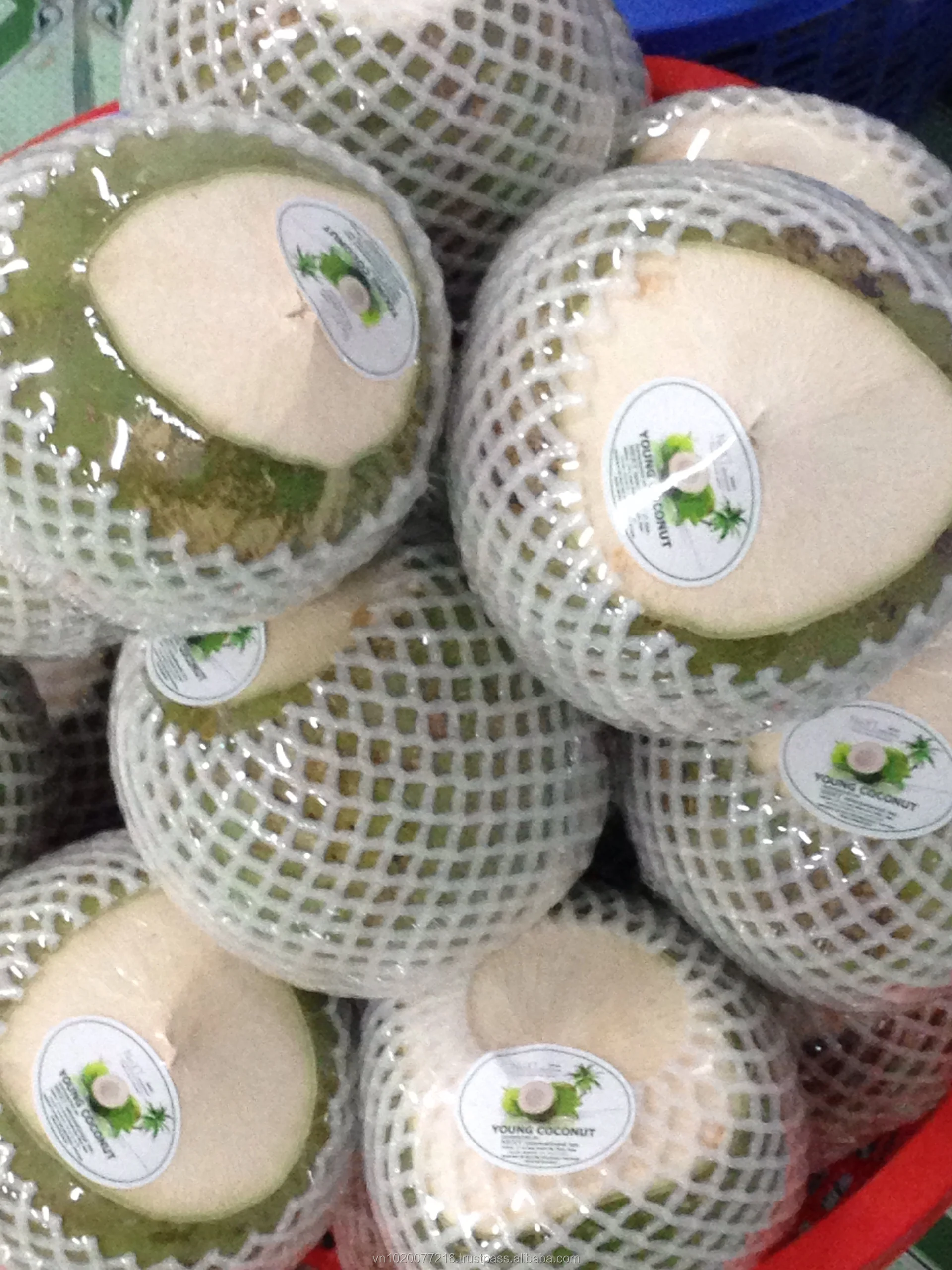 Fresh Coconut Buy Fresh Coconuts For Sale,Fresh Coconuts In Container