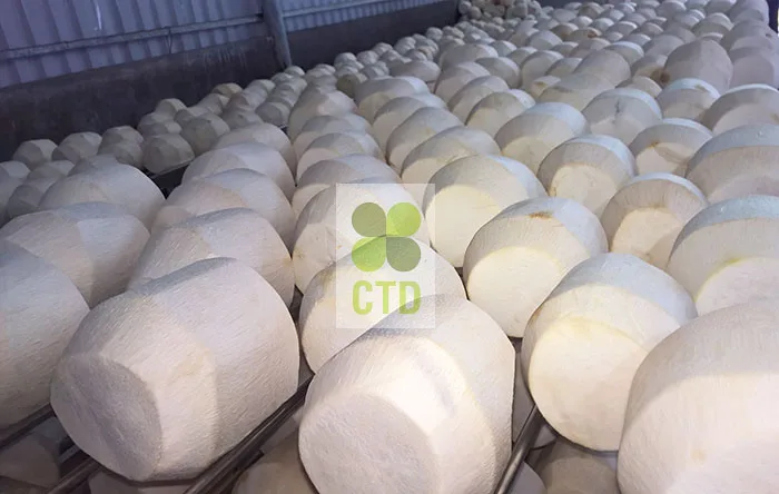 Fresh Coconut_CTD Int (41).jpg