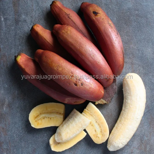 フレッシュフルーツインディアンレッドバナナ Buy Red Banana Exports To Canada Oman Bahrain Fresh Fruits Red Healthy Food Banana Baby Fruits Red Banana Product On Alibaba Com