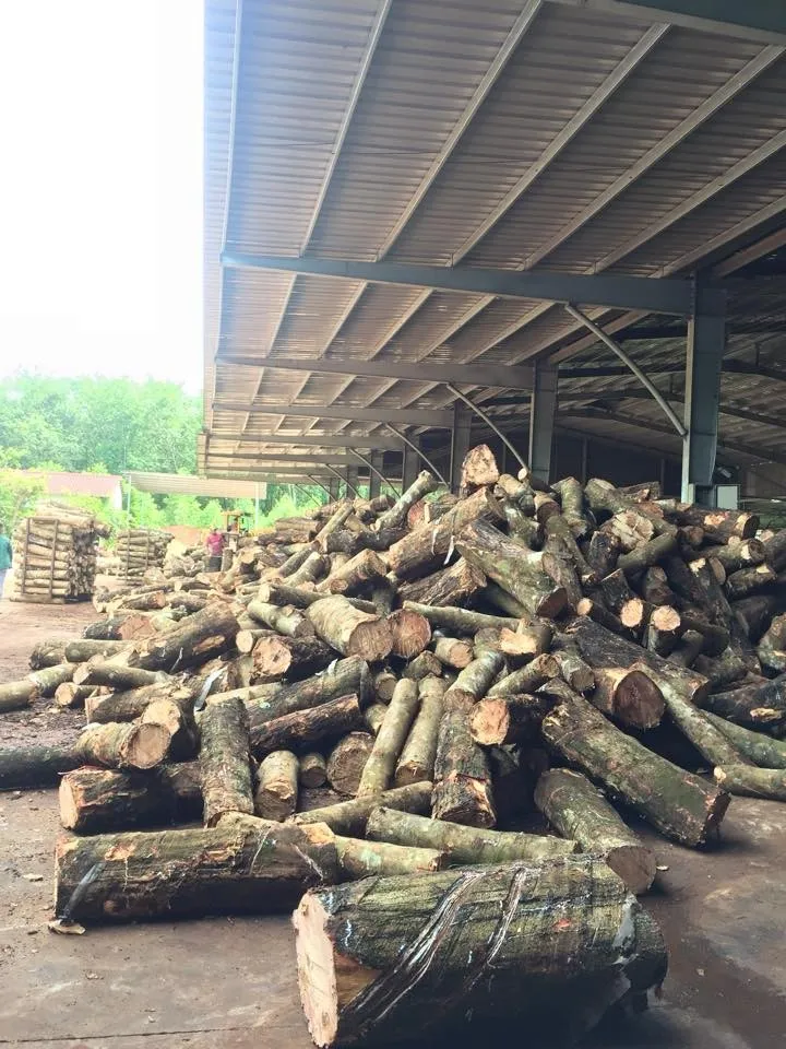 Rubber Wood Lumber For Sale Buy Pine Wood Lumber,Lumber In Davao Acacia Wood Lumber Gmelina