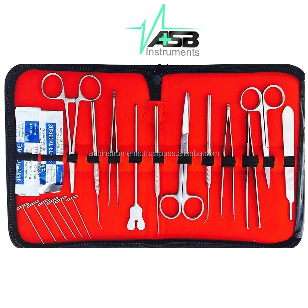 为医学生和研究人员提供热卖解剖套件