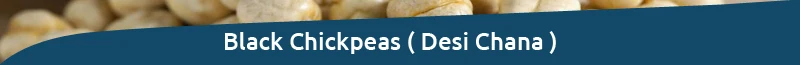 Title.jpg