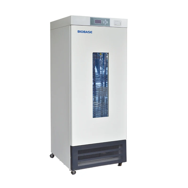Stainless Steel Laboratory Biochemical Incubator Laboratory Anaerobic