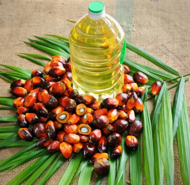 Palm-oil.jpg