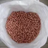 Peanut Nut Kernel