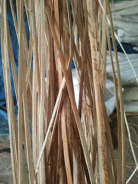 Rattan Reed Sticks Diffuser/pitriet/rattan Malacca Buy Rattan Reed